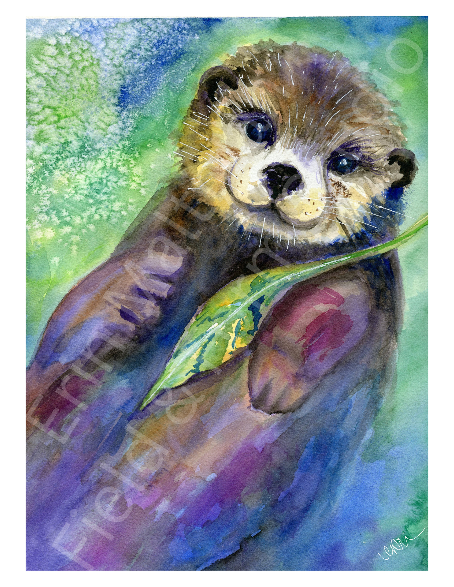 Adrift - Fine Art Print