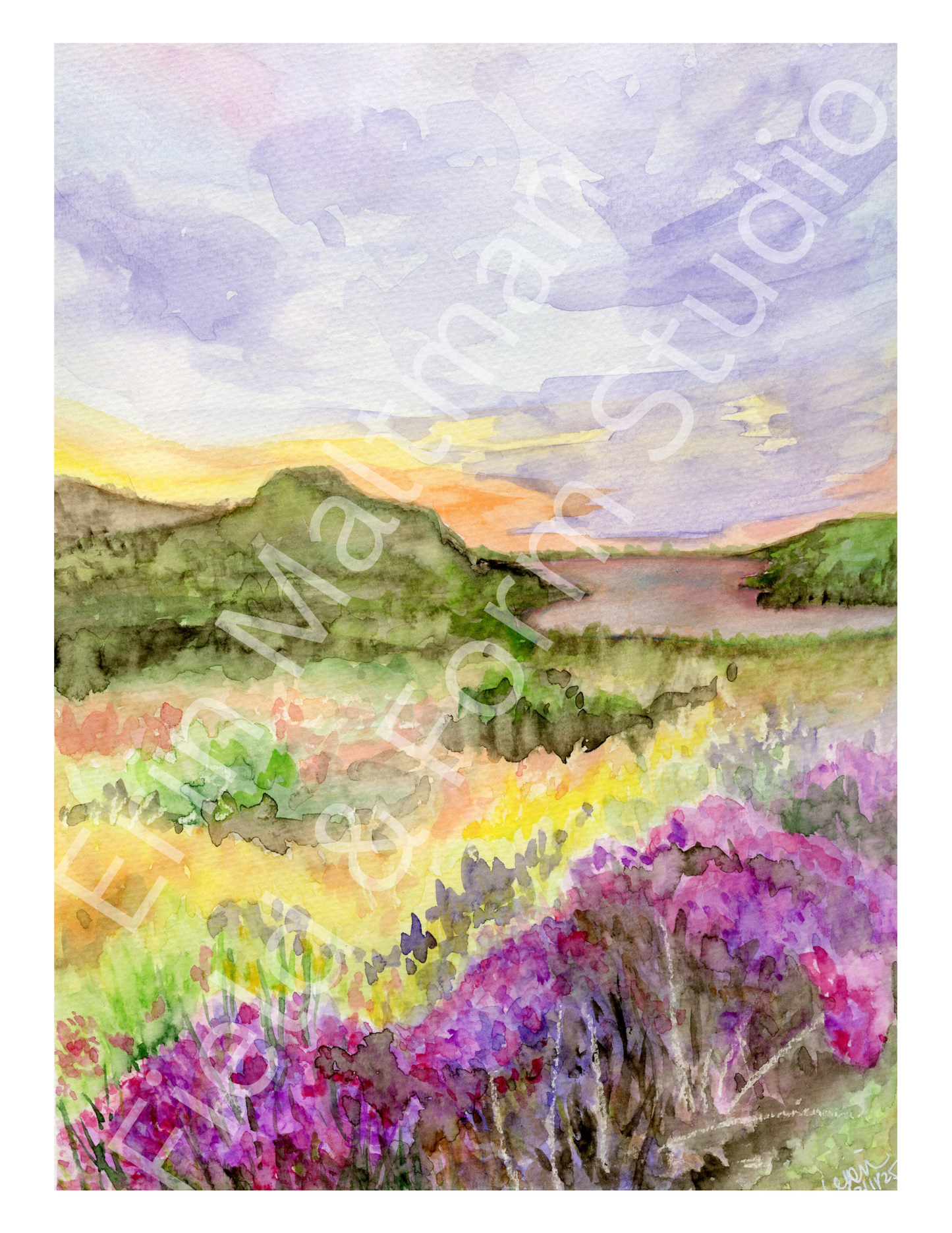 Heather at Dusk - Fine Art Print