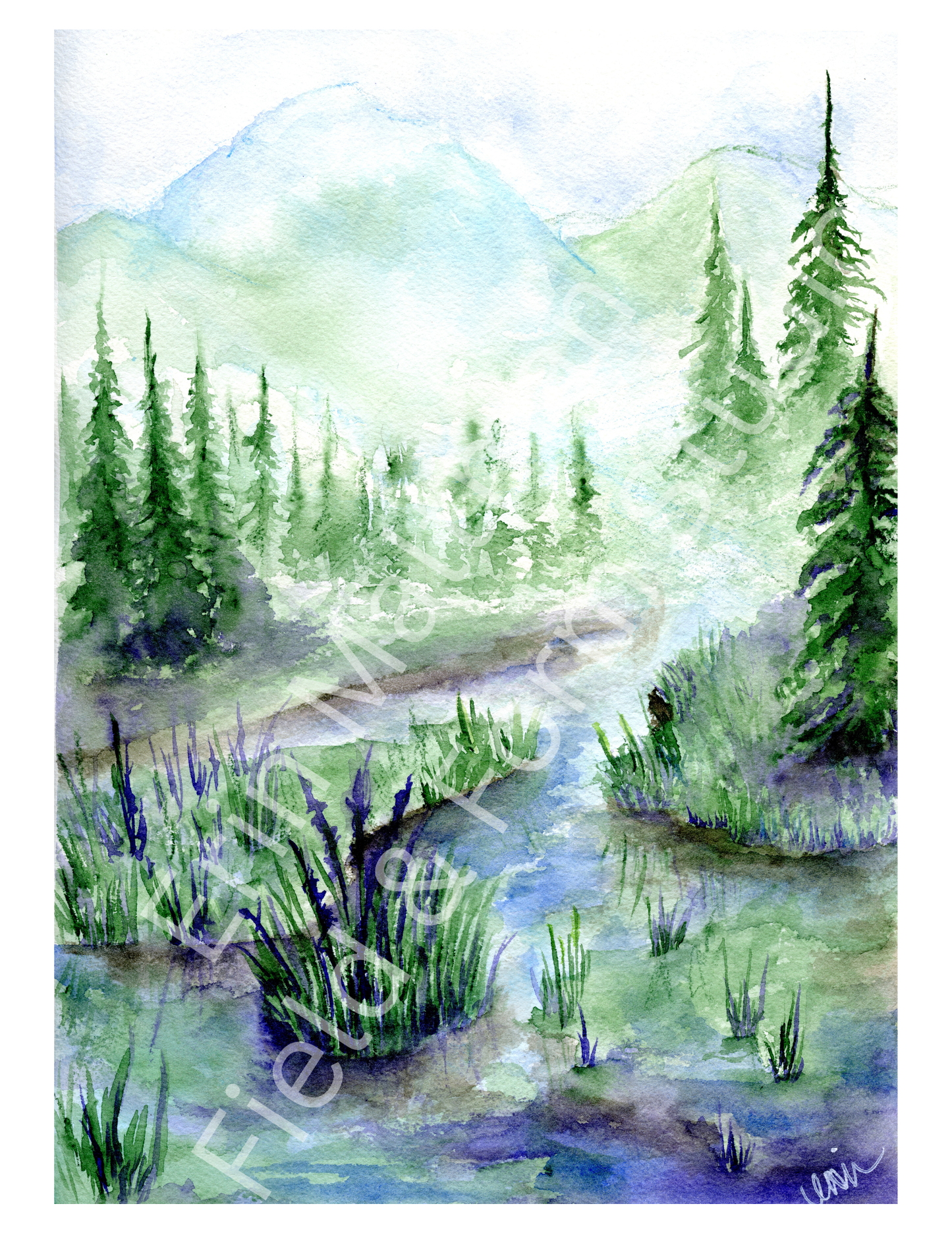 In Stillness - Field & Form Set
