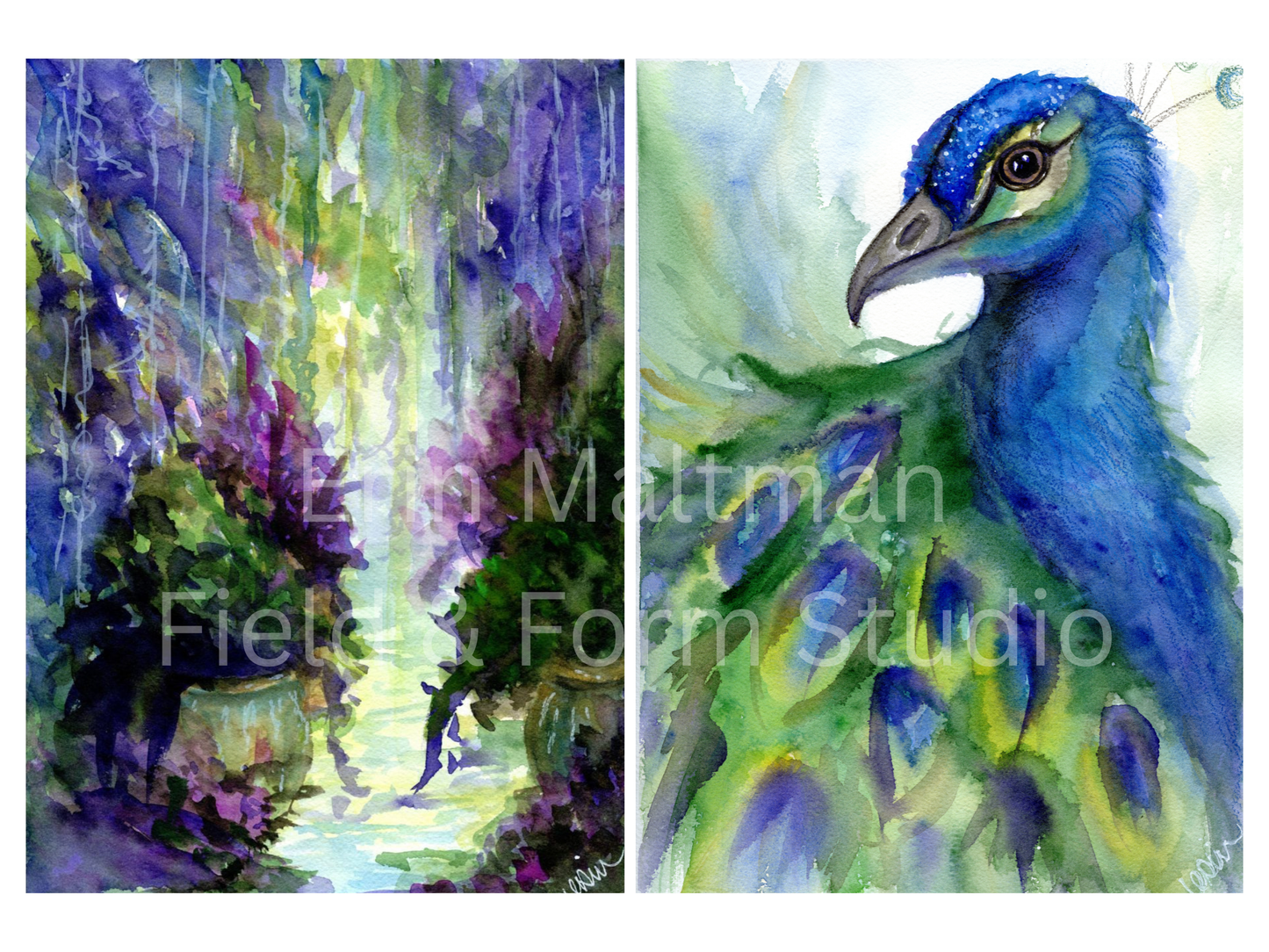 Emerging - Field & Form Set