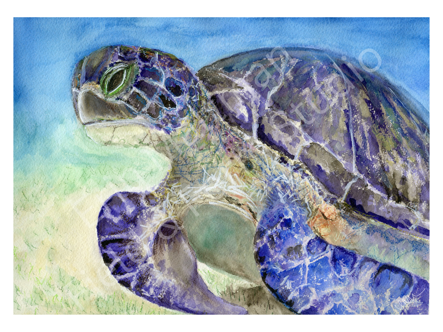 Endurance - Original Watercolour
