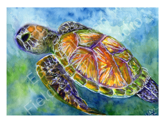 Current - Original Watercolour