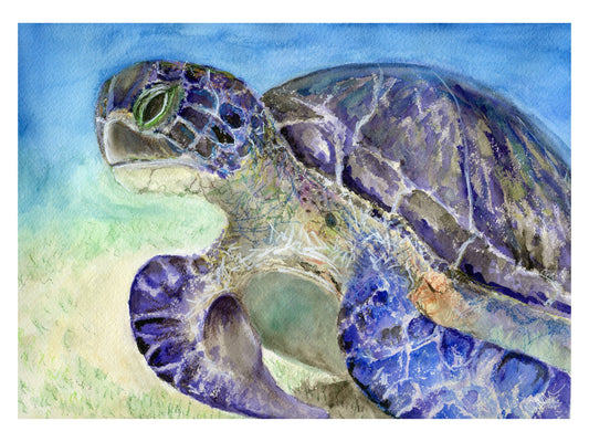 Endurance - Original Watercolour