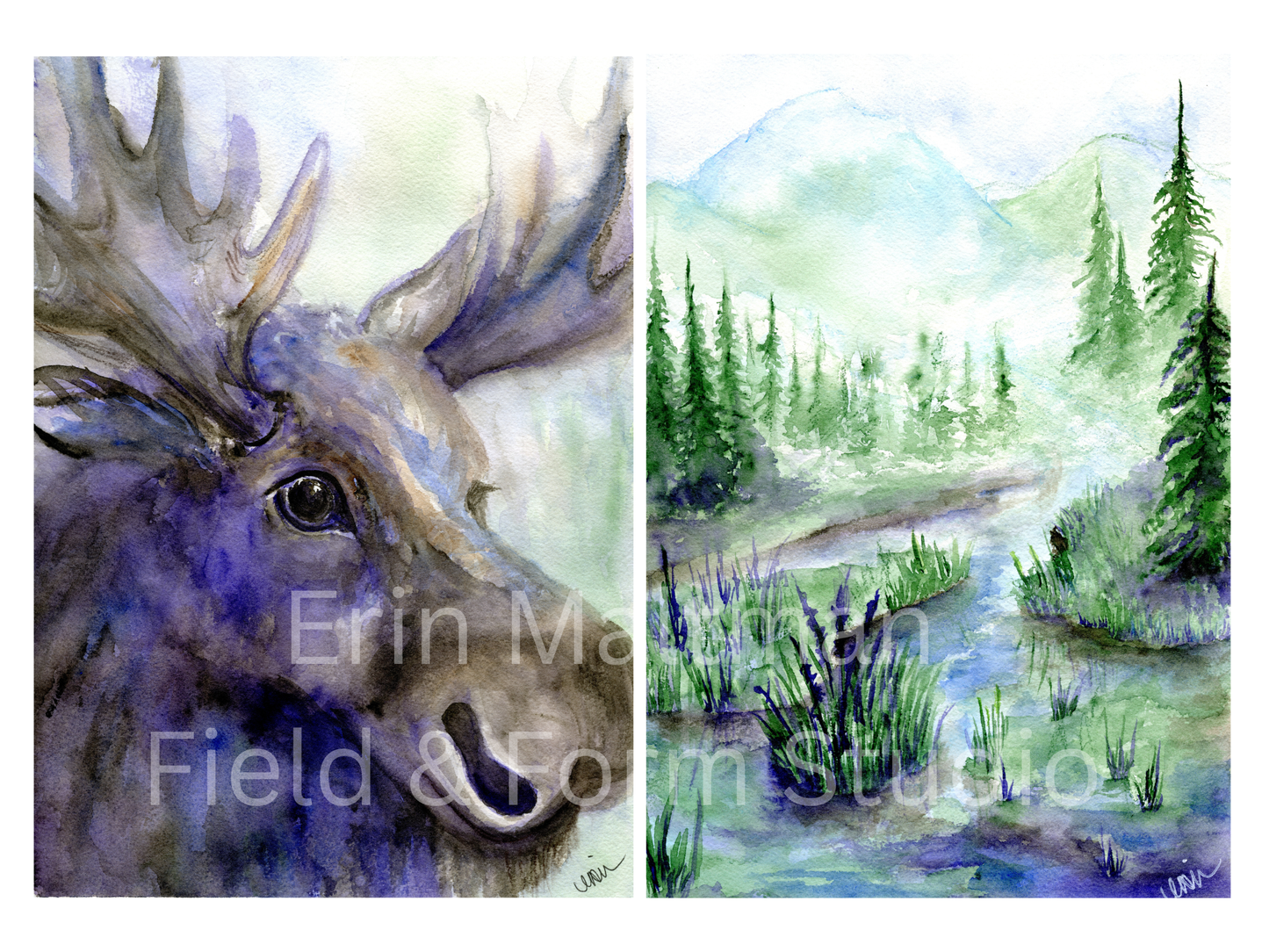 In Stillness - Field & Form Set