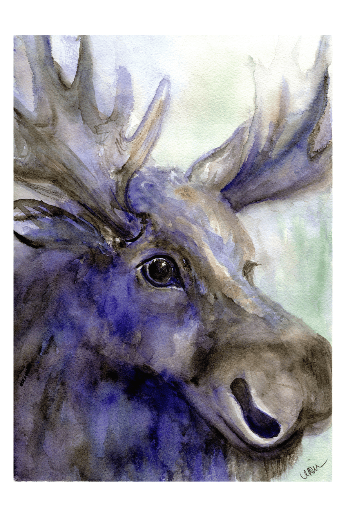 In Stillness - Form; Artist Card