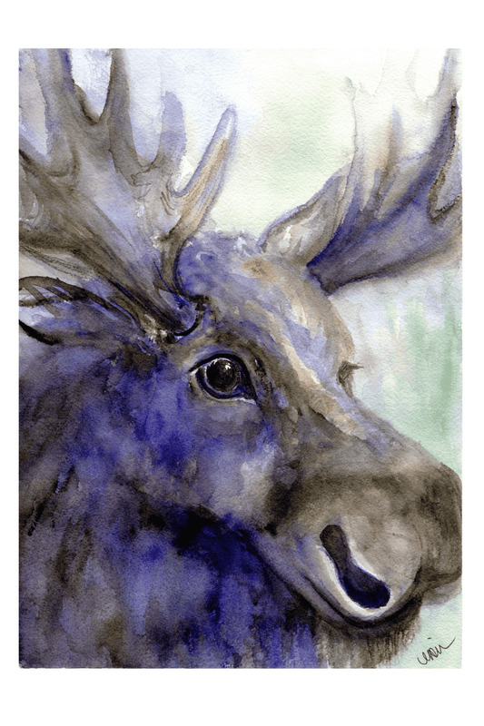 In Stillness - Form; Artist Card