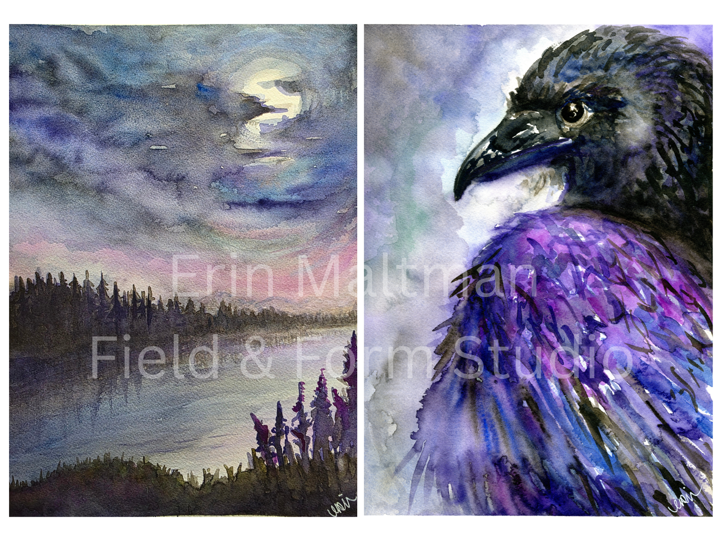 Threshold - Field & Form Set