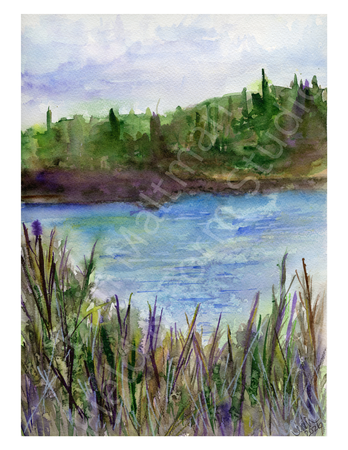 Waiting — Field; original watercolour painting of a cattail marsh and lake with treeline, in greens and purples