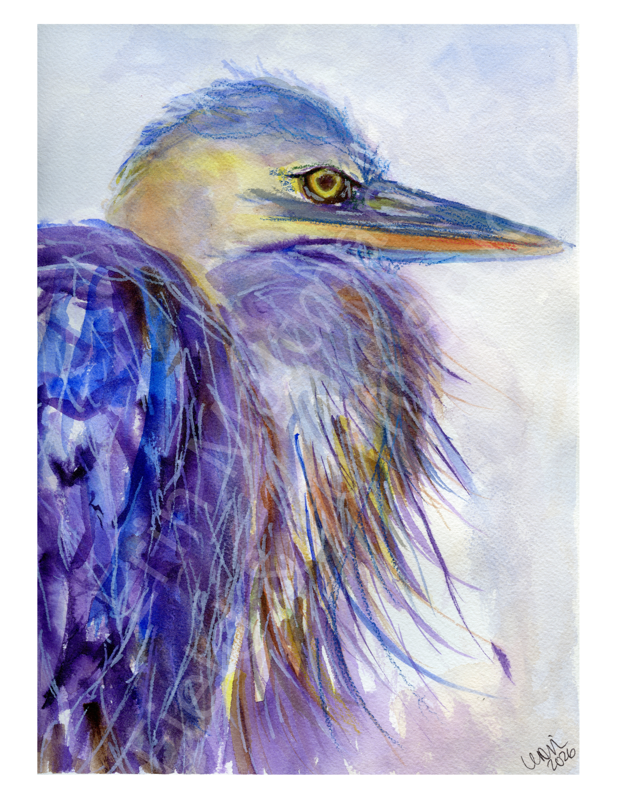 Waiting — Form; original watercolour painting of a Great Blue Heron, close portrait, in purples and blues